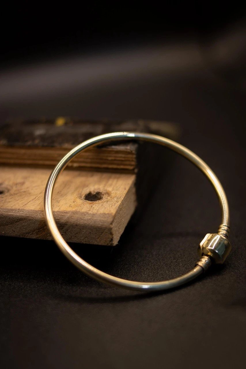 PULSEIRA PANDORA RIGIDA | Everest Jóias (3)