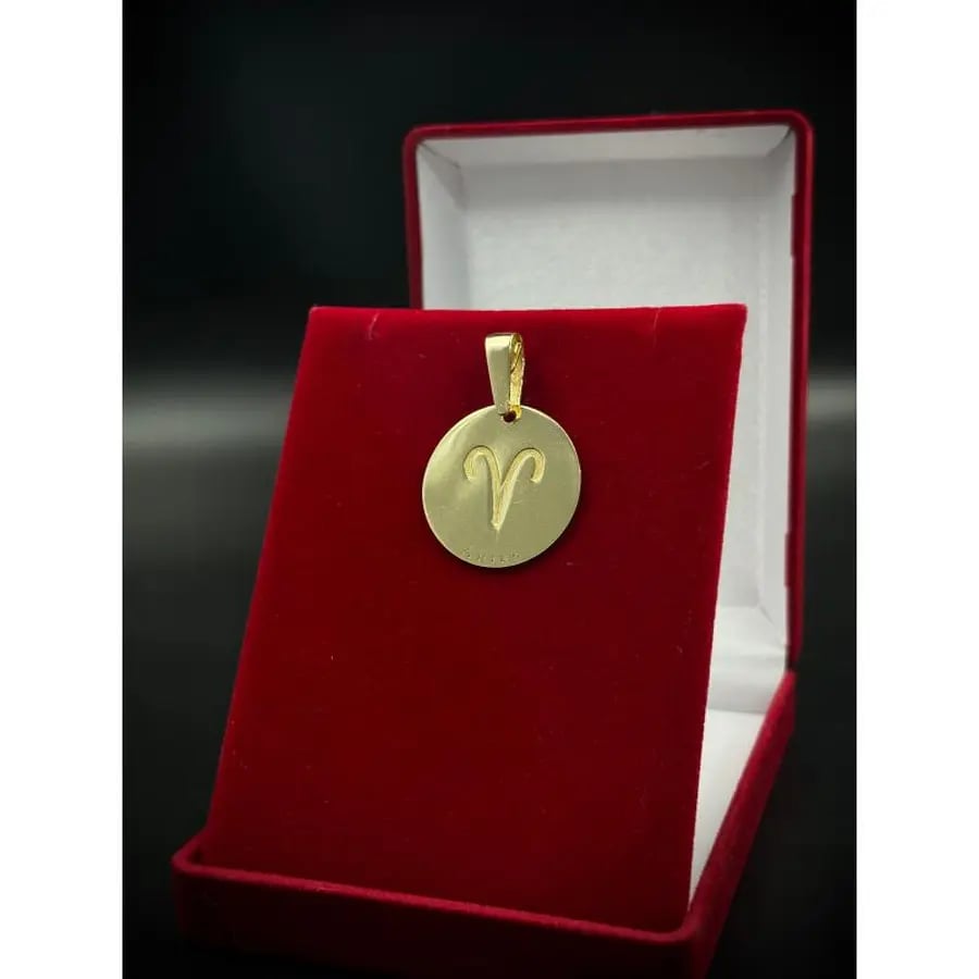 PINGENTE MEDALHA COM SIGNO | Everest Jóias (3)