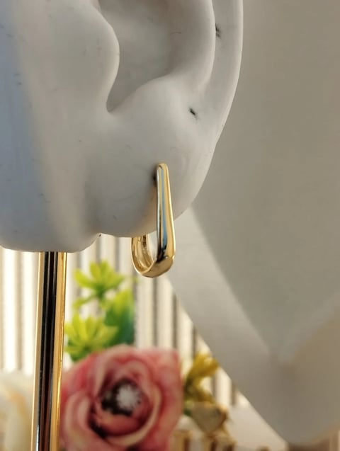 Brinco ARGOLA Folheado ARG001 | Gestor Lilannus Ltda