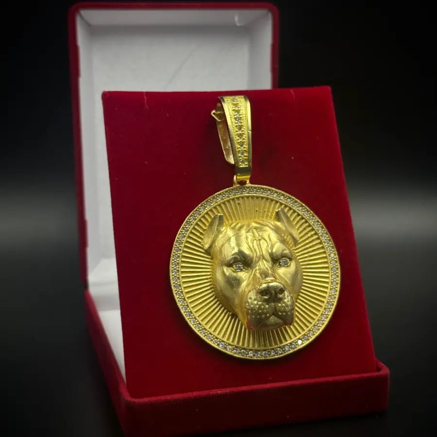 PINGENTE PITBULL NA MEDALHA GIGANTE | Everest Jóias (2)