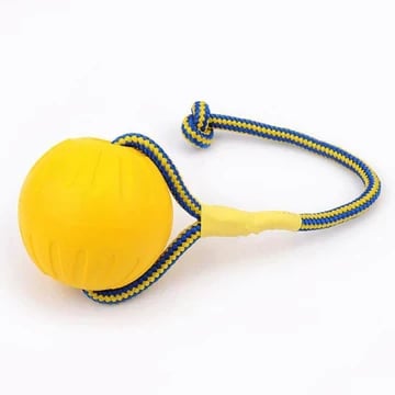 Brinquedo bolinha resistente | Linqui