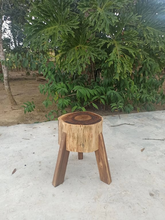 Tronquinho Potira | Casa do Lírio (3)