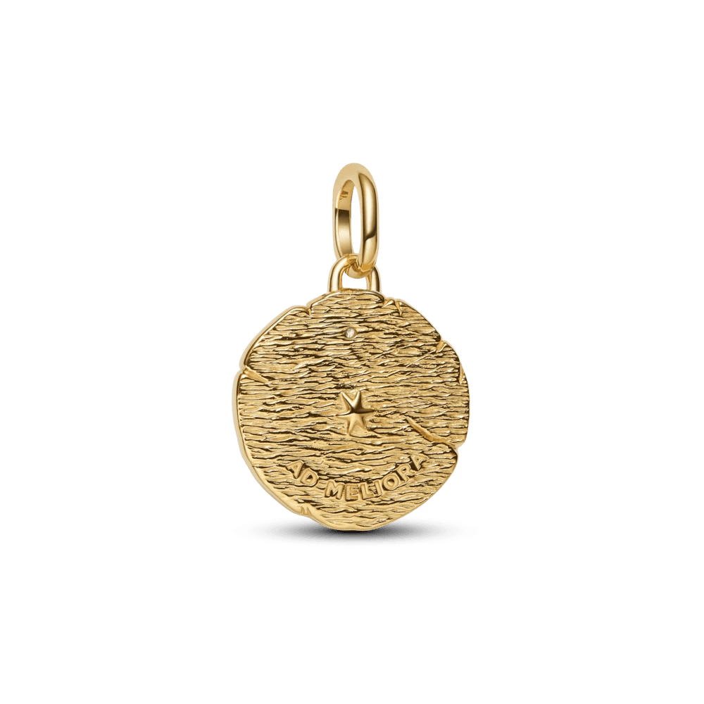 Charm Medalhão Flechas Dois Tons | Like Joias e Acessórios (3)