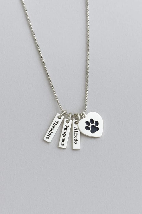 Colar Pet Personalizável Prata 925 | Like Joias e Acessórios