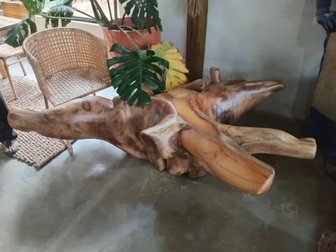 Mesa Raiz Orgânica Jaquiera | Casa do Lírio