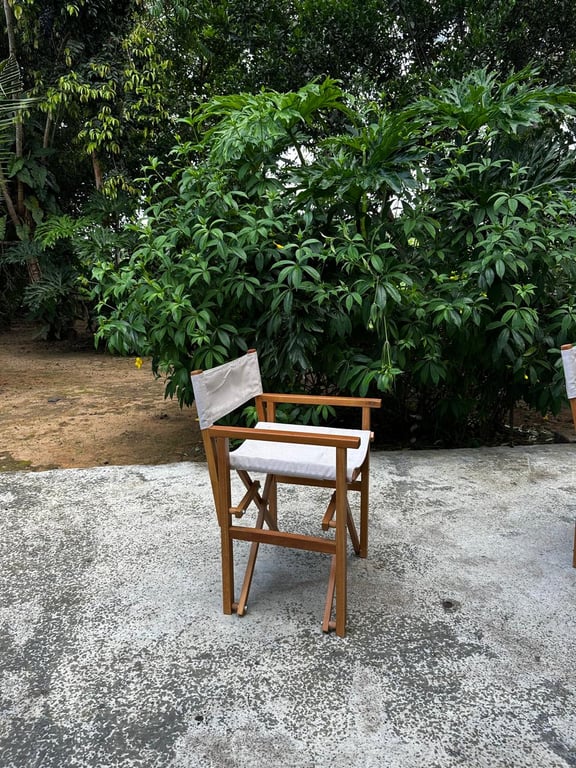 Cadeira Diretor Cinema | Casa do Lírio (2)