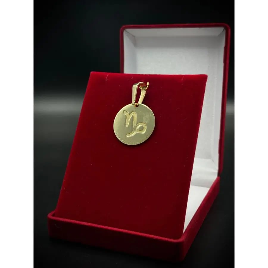 PINGENTE MEDALHA COM SIGNO | Everest Jóias (7)