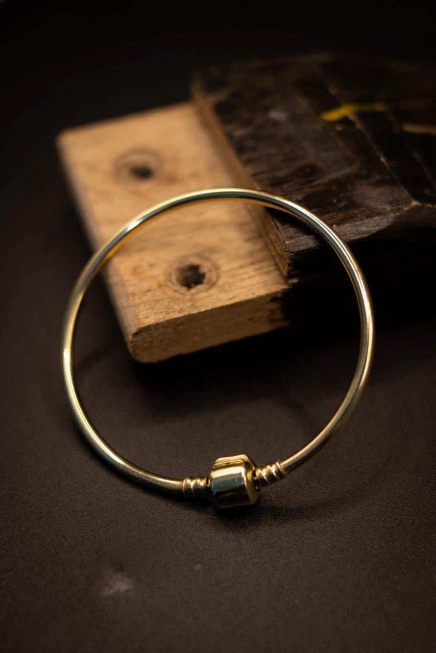 PULSEIRA PANDORA RIGIDA | Everest Jóias (2)