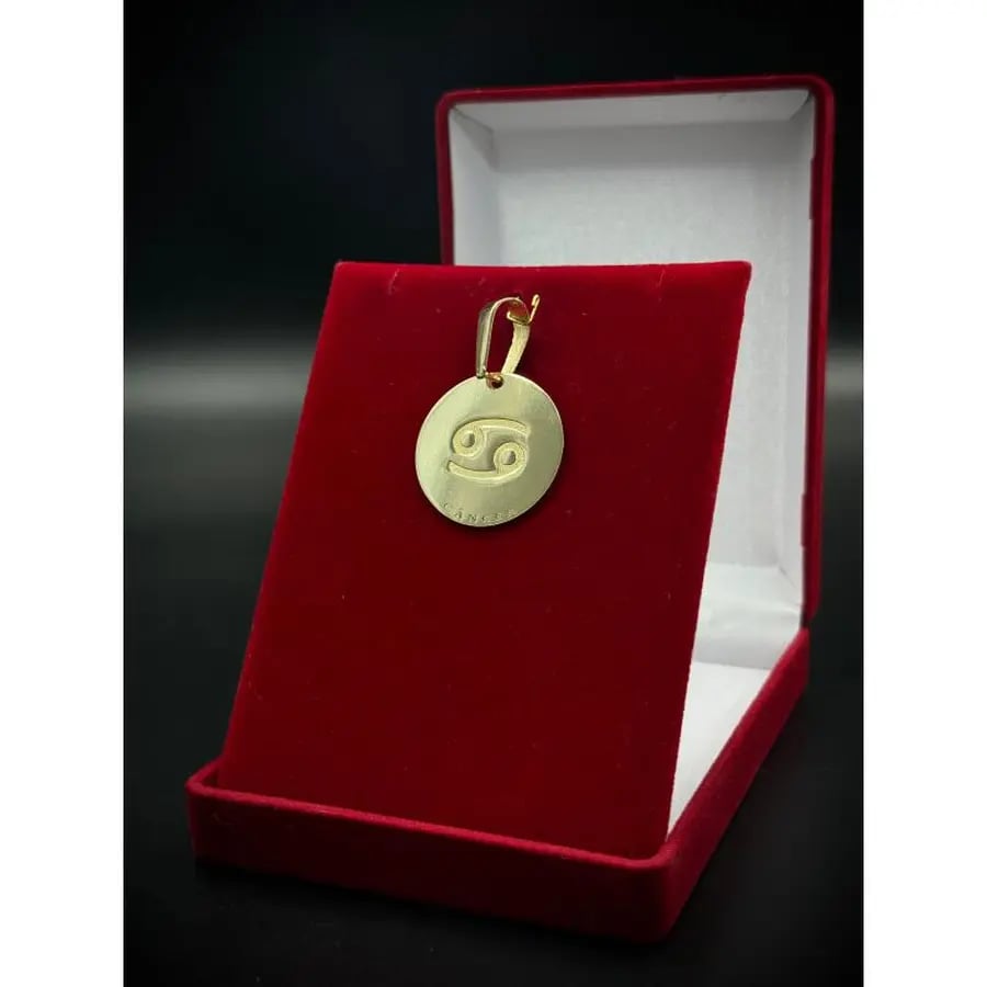 PINGENTE MEDALHA COM SIGNO | Everest Jóias (6)